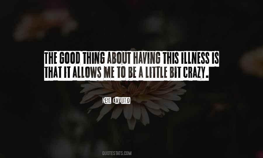 A Little Bit Crazy Quotes #933392