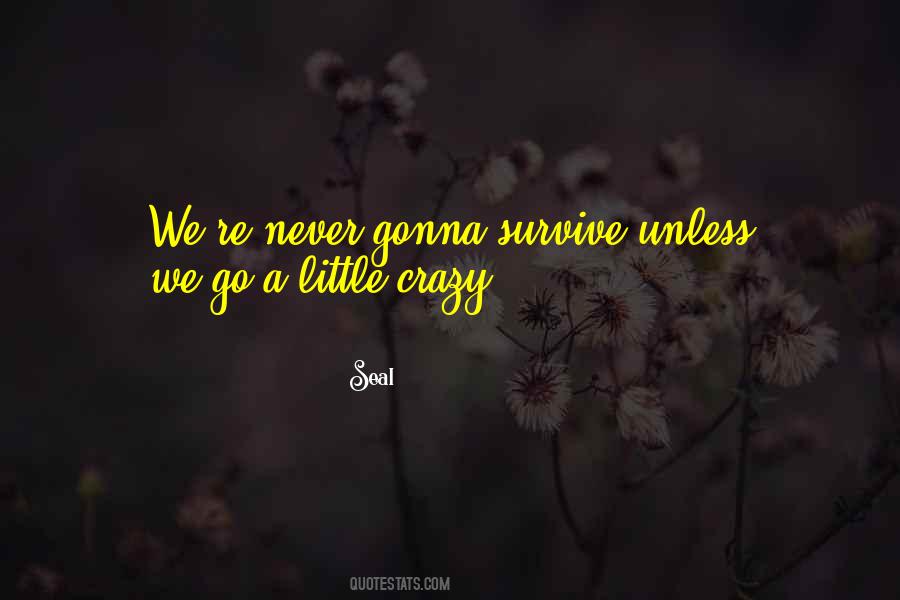 A Little Crazy Quotes #687183