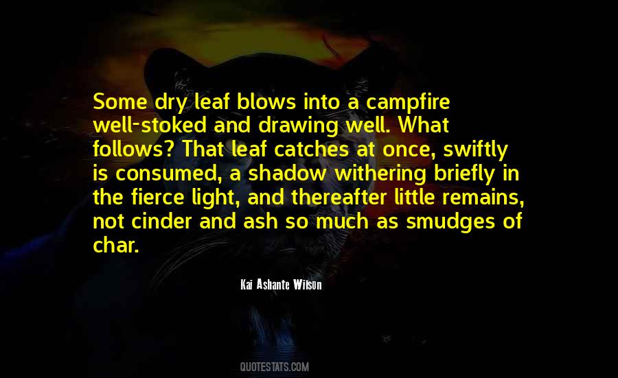 A Little Light Quotes #656902 A Little Light Quotes #656902