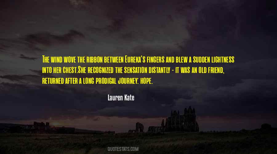 A Long Way Gone Journey Quotes #164113