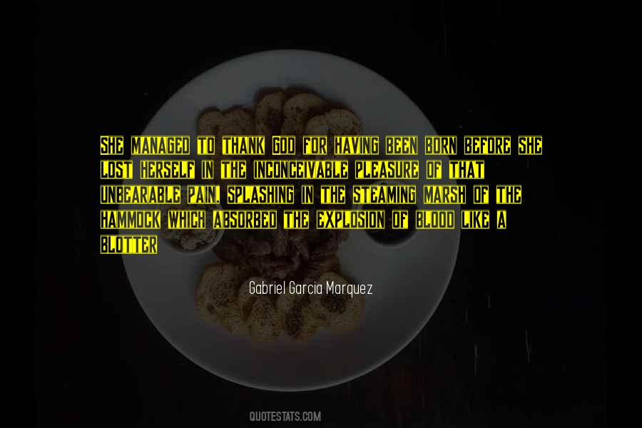 Lost Herself Quotes #351125