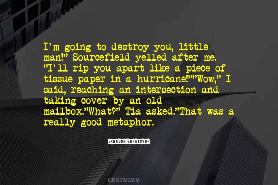 A Man Apart Quotes #1030038