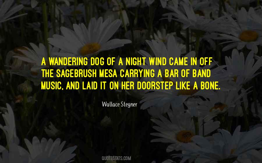 A Night Quotes #1236091