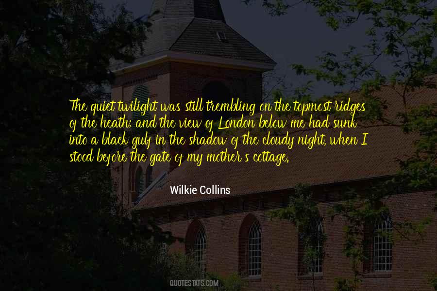 A Quiet Night Quotes #124696