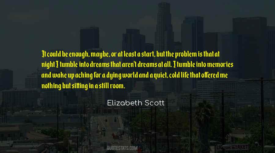 A Quiet Night Quotes #1305996