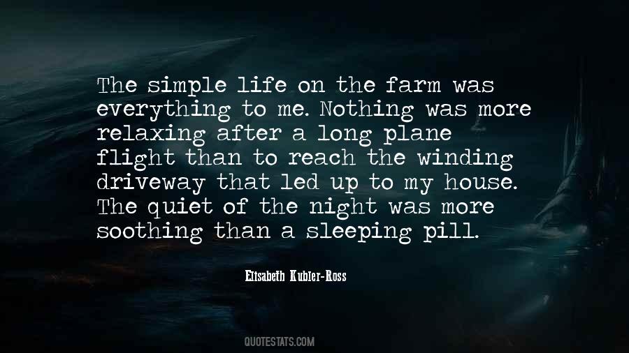 A Quiet Night Quotes #479035