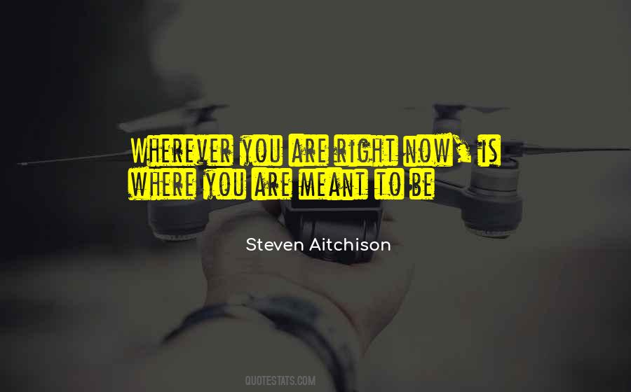 You Are Meant To Be You Quotes #372227
