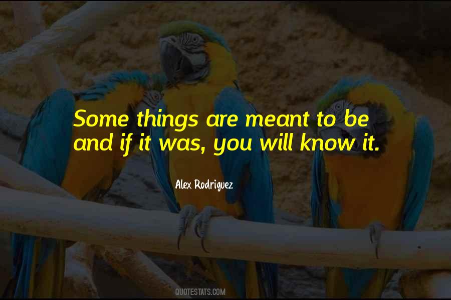 You Are Meant To Be You Quotes #59007