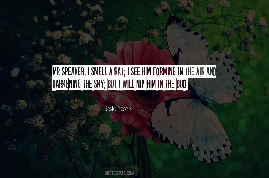 Quotes About Nip #1764352