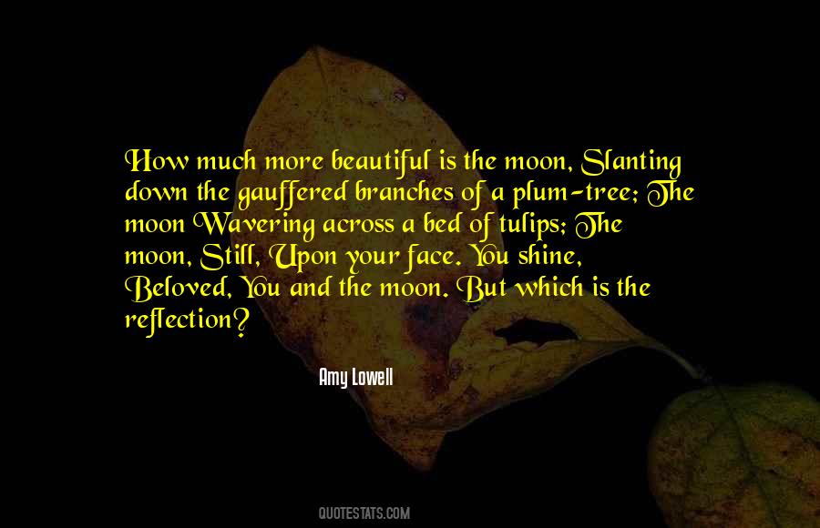 Your Reflection Quotes #1097632