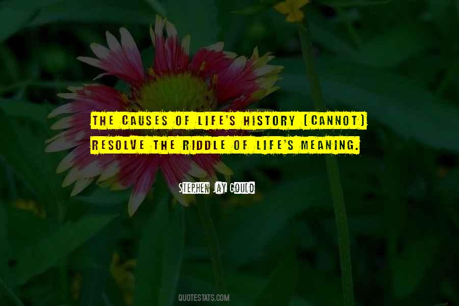 Life Is A Riddle Quotes #461302