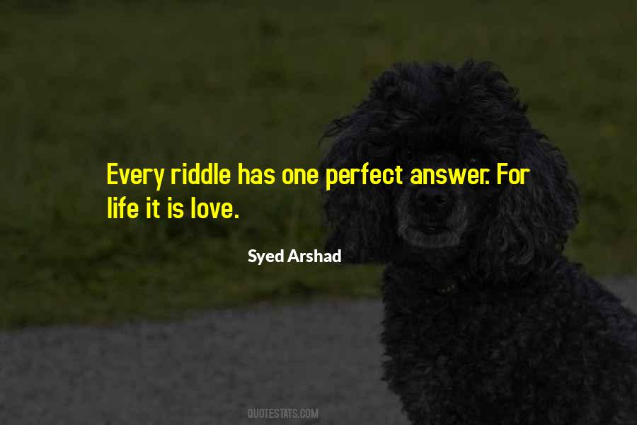 Life Is A Riddle Quotes #905506