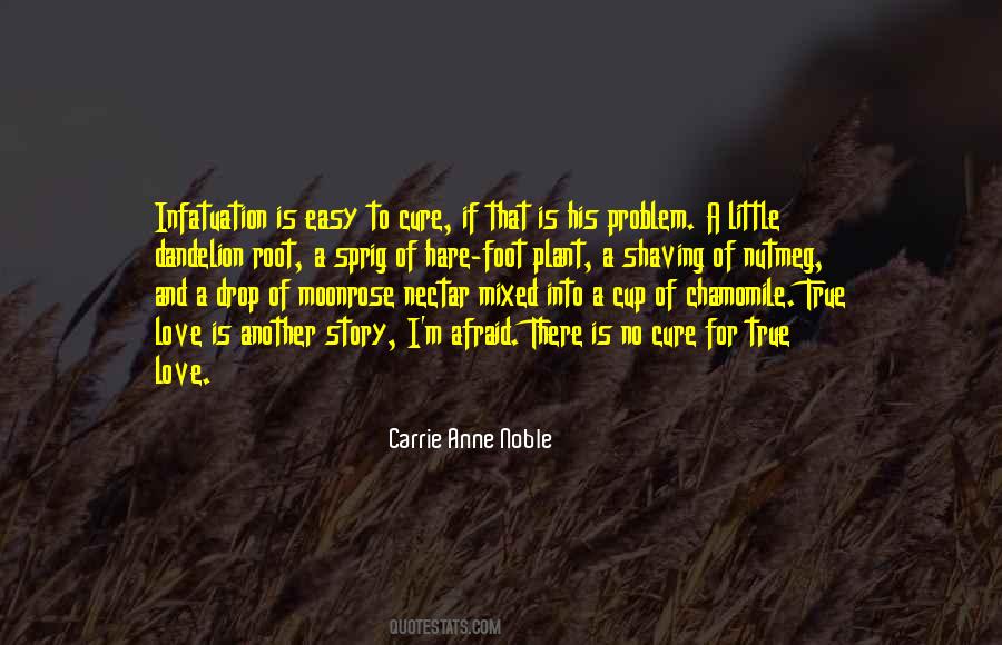 A True Love Story Quotes #331155