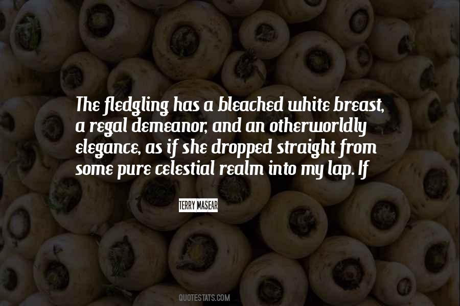 Straight If Quotes #192985