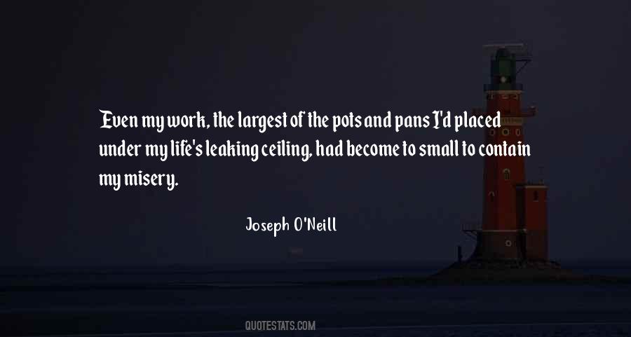 Joseph O Neill Quotes #1380187