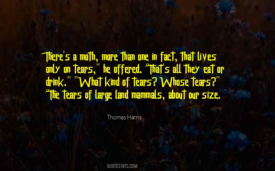 Znlremfhdn Quotes #1705201
