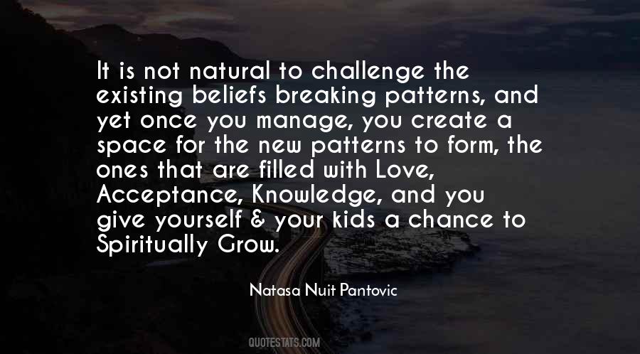 Breaking Patterns Quotes #885730