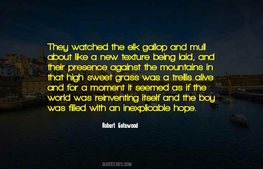 About Like Quotes #325328