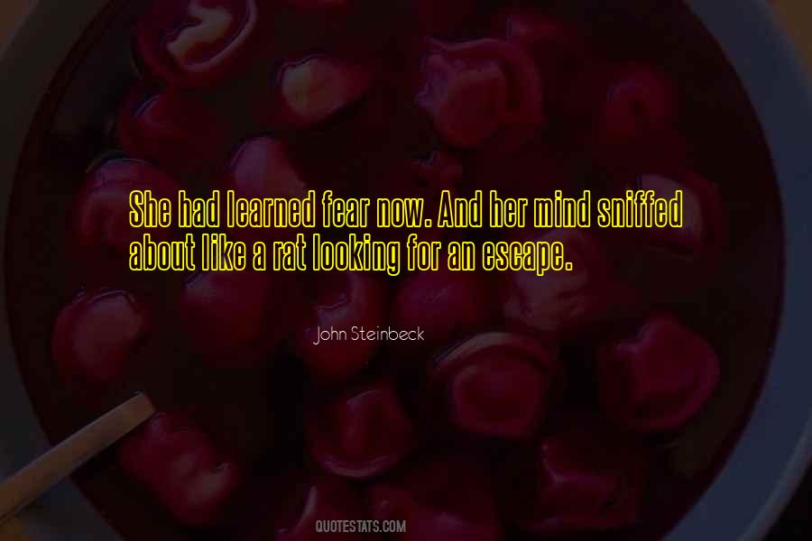 About Like Quotes #775342