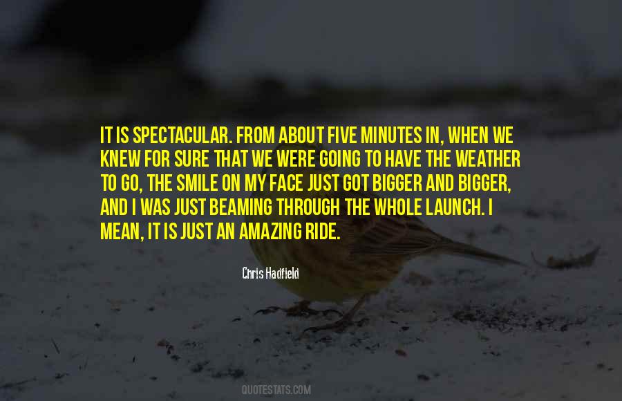About My Smile Quotes #831369