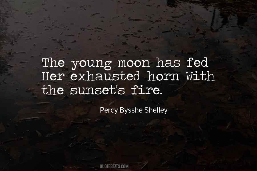 About The Moon Quotes #23731