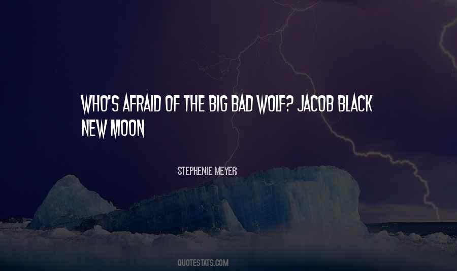 About The Moon Quotes #31171