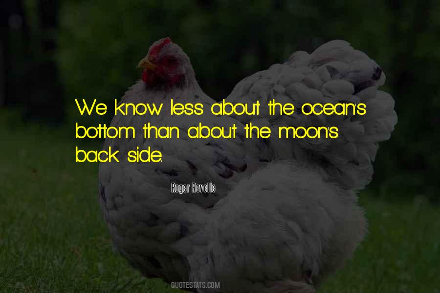 About The Moon Quotes #539098