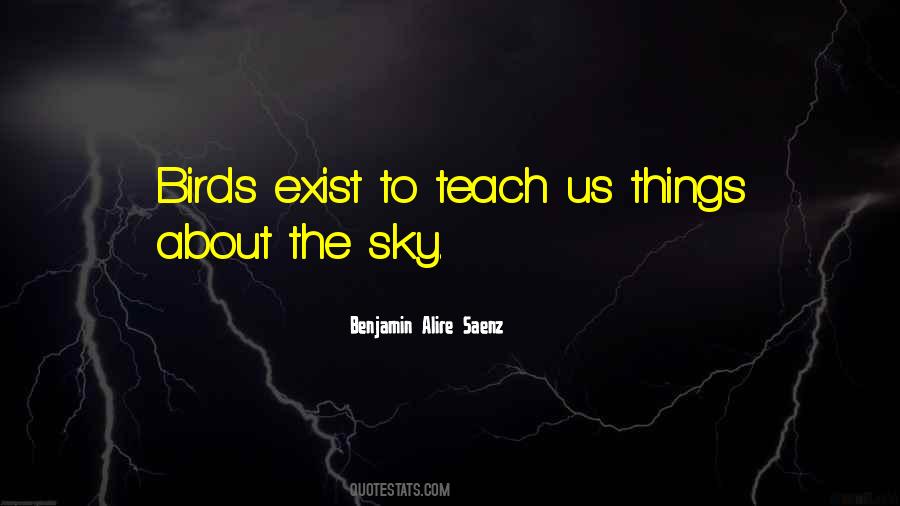 About The Sky Quotes #739810