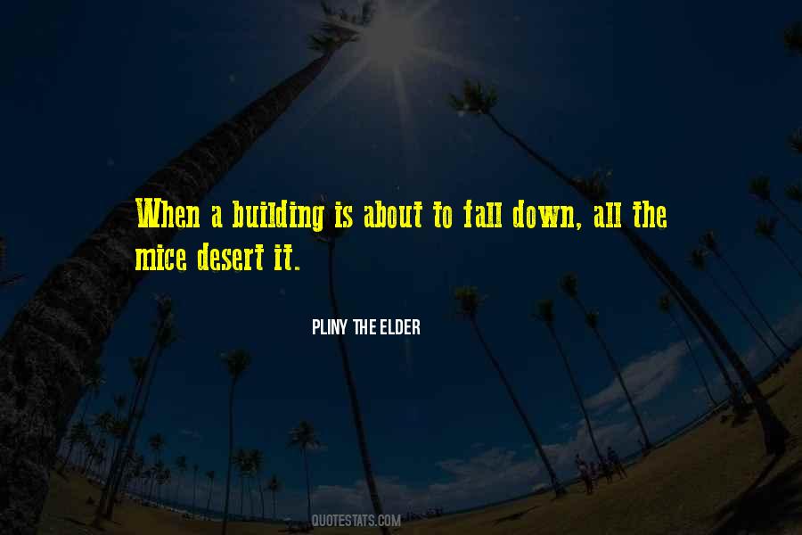 About To Fall Quotes #1465473