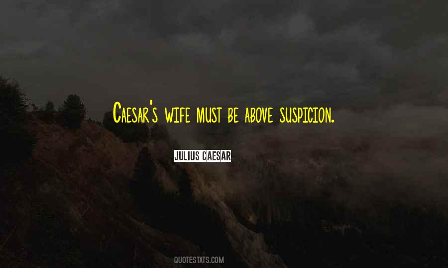 Above Suspicion Quotes #946084