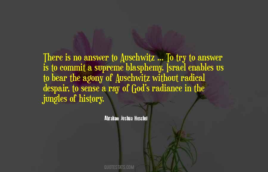 Abraham Joshua Quotes #407355