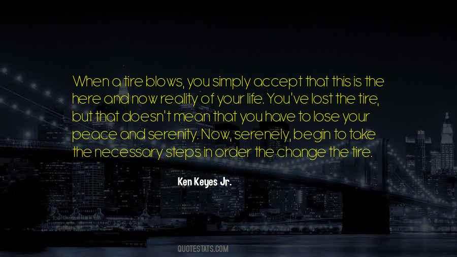 Accept What You Cannot Change Quotes #70632