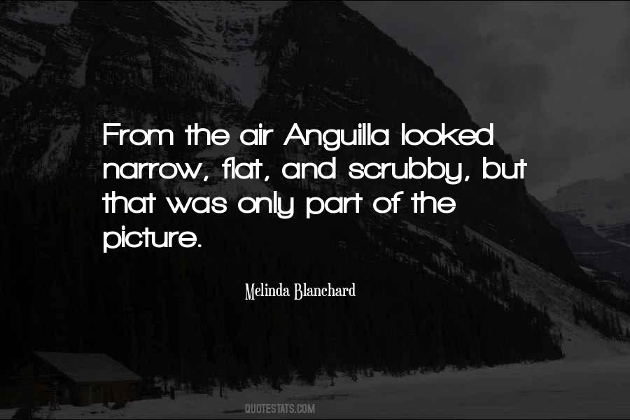 First Sentence Quotes #281357