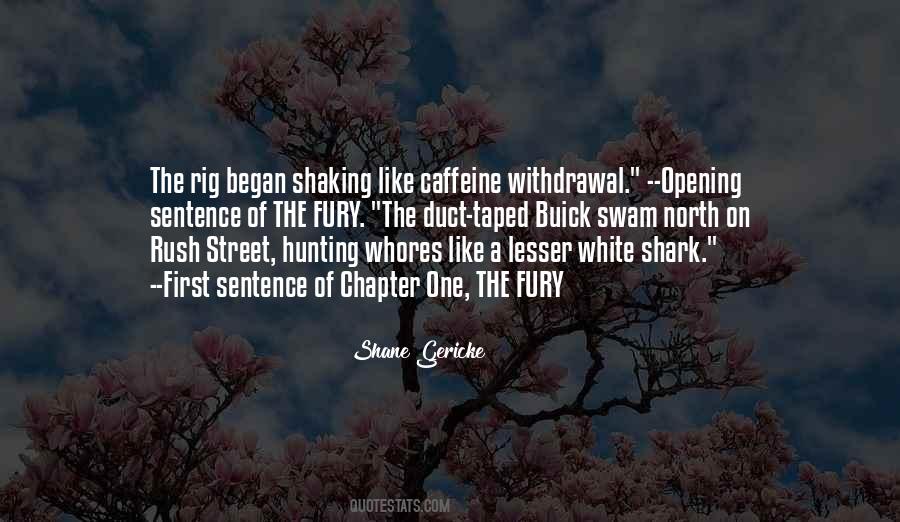 First Sentence Quotes #759015