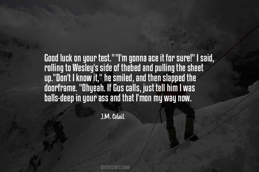 Ace The Test Quotes #1587532