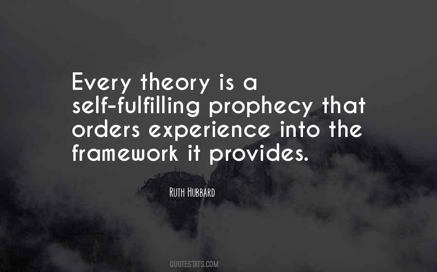 Experience Theory Quotes #1123215