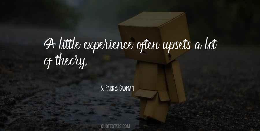 Experience Theory Quotes #1742247