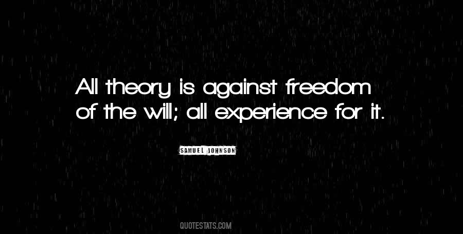 Experience Theory Quotes #177681