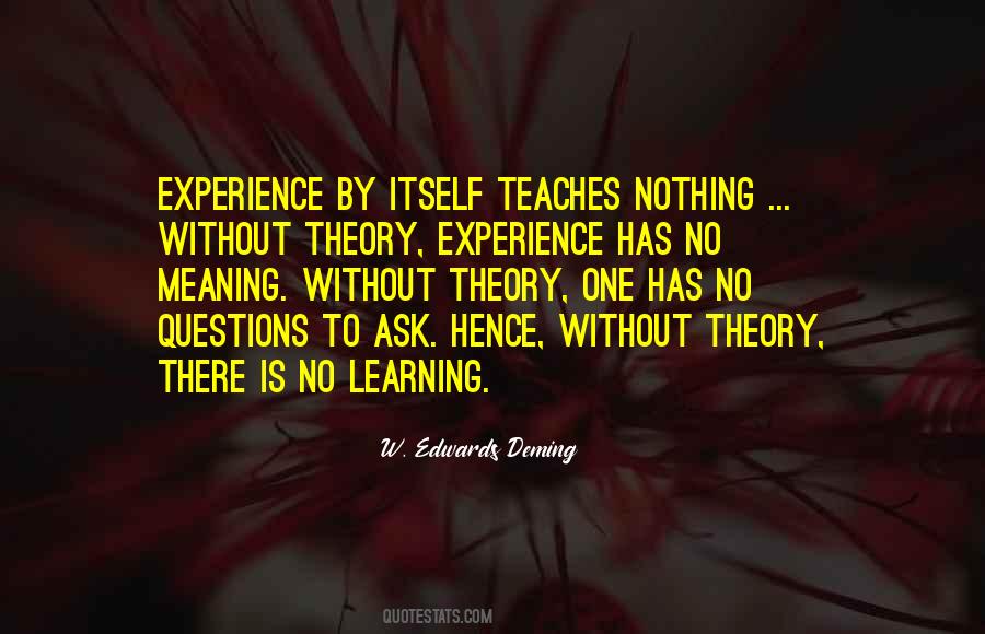 Experience Theory Quotes #465442