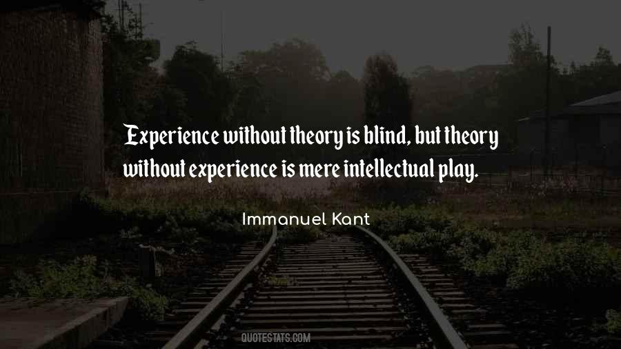 Experience Theory Quotes #475029