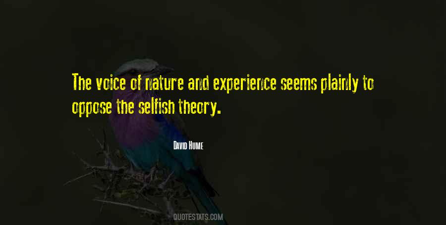 Experience Theory Quotes #517434