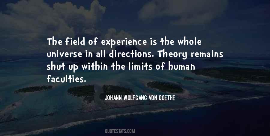 Experience Theory Quotes #633437