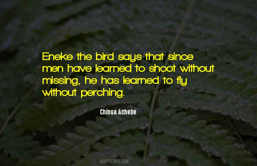 Achebe Quotes #324157