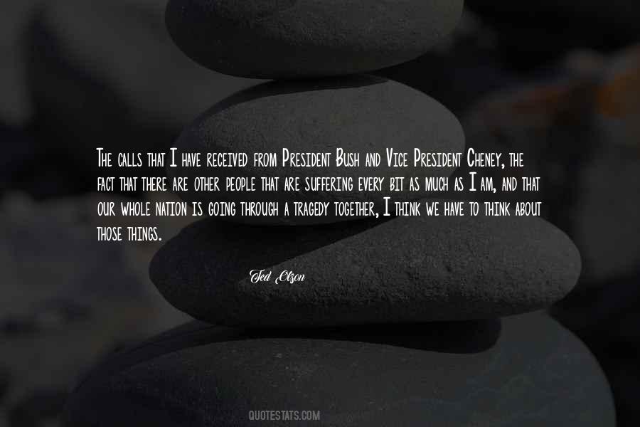 Vice President Cheney Quotes #326429