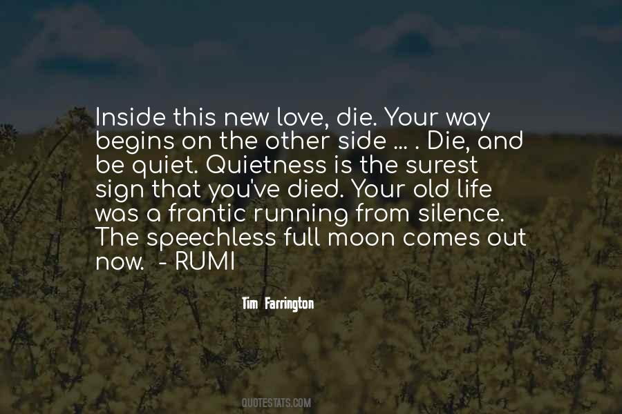 Life Rumi Quotes #23210
