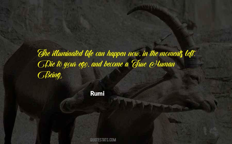 Life Rumi Quotes #538539