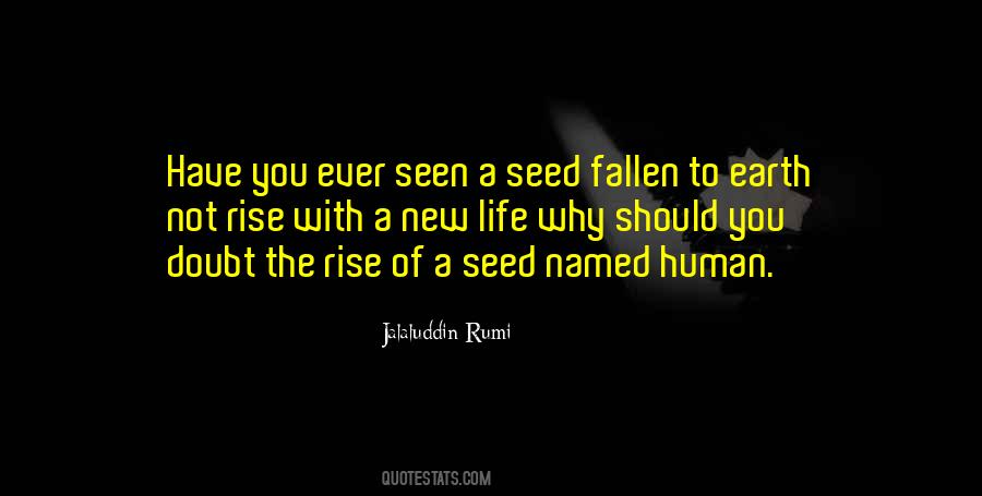 Life Rumi Quotes #81229