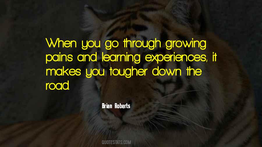 Learning Through Experience Quotes #1154993