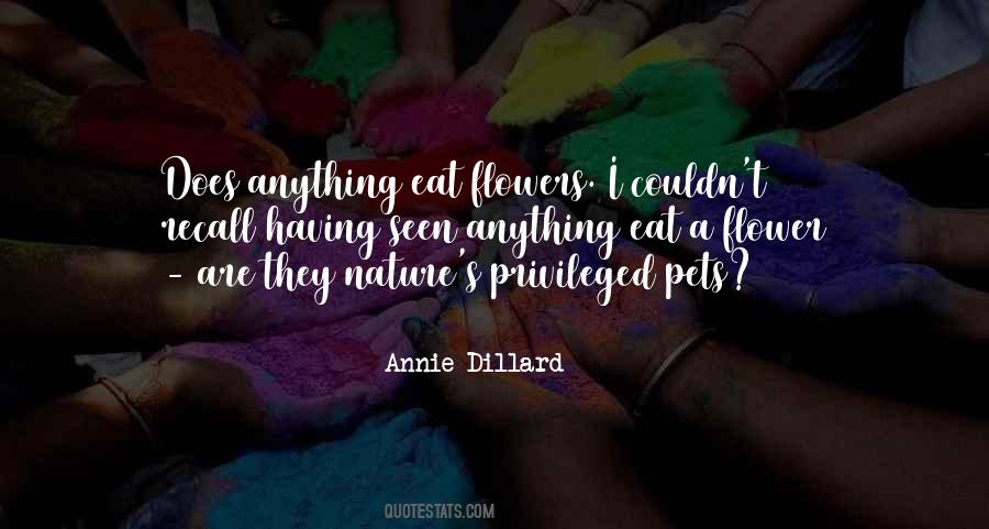 Having Pets Quotes #470525
