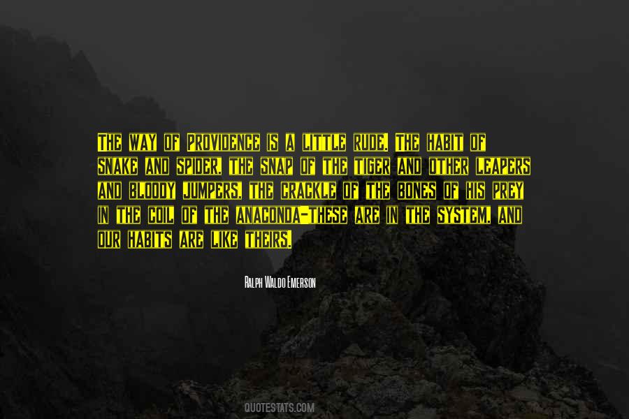 Little Spider Quotes #1856900